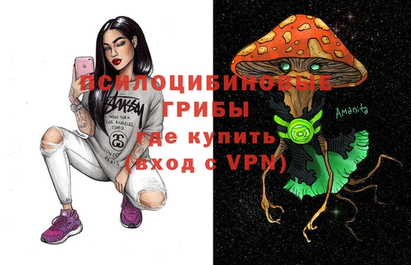 шишки Алексин