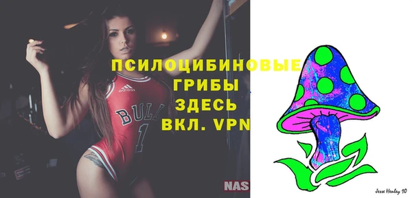 шишки Алексин