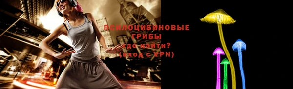шишки Алексин