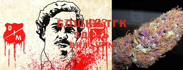 дмт Алзамай