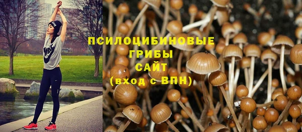 шишки Алексин