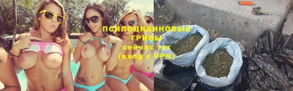 дмт Алзамай