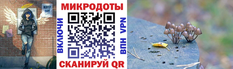 Псилоцибиновые грибы мицелий Сосновка